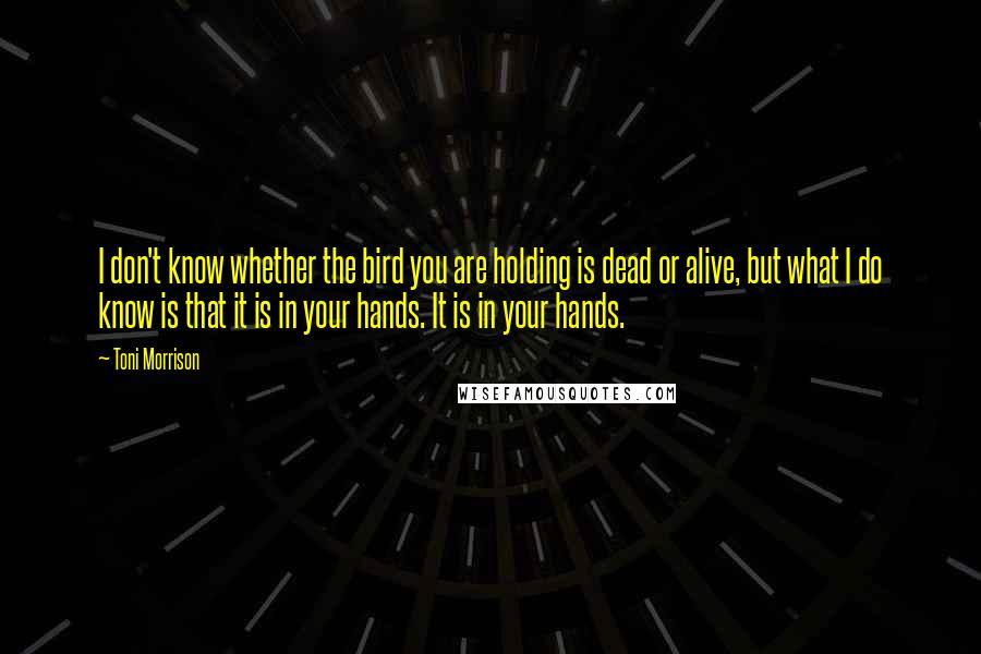 Toni Morrison Quotes: I don't know whether the bird you are holding is dead or alive, but what I do know is that it is in your hands. It is in your hands.