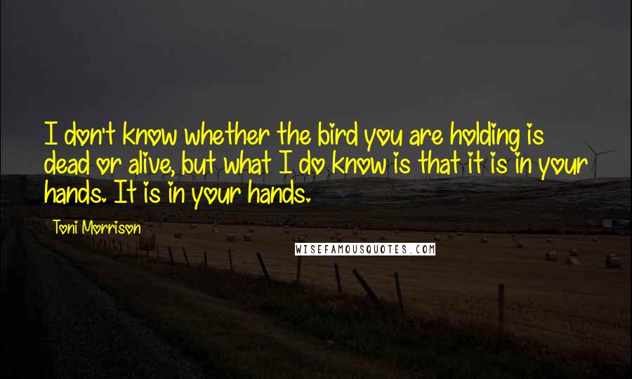 Toni Morrison Quotes: I don't know whether the bird you are holding is dead or alive, but what I do know is that it is in your hands. It is in your hands.