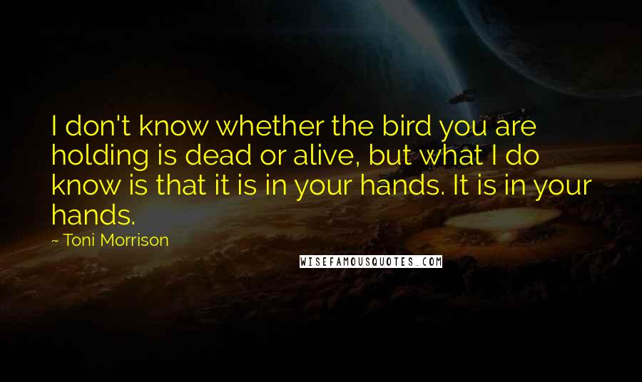 Toni Morrison Quotes: I don't know whether the bird you are holding is dead or alive, but what I do know is that it is in your hands. It is in your hands.