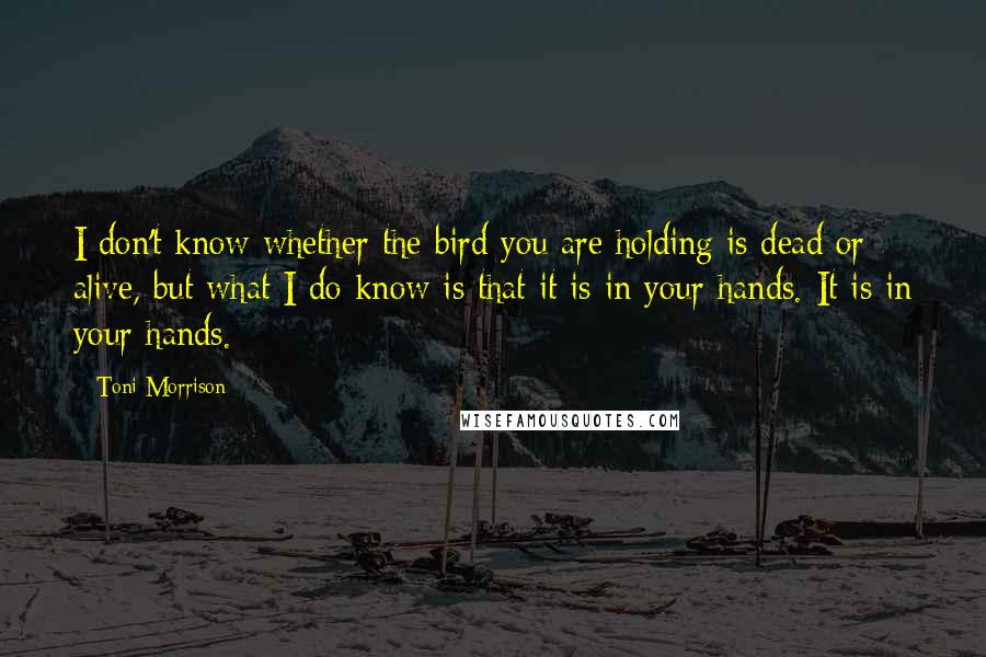 Toni Morrison Quotes: I don't know whether the bird you are holding is dead or alive, but what I do know is that it is in your hands. It is in your hands.