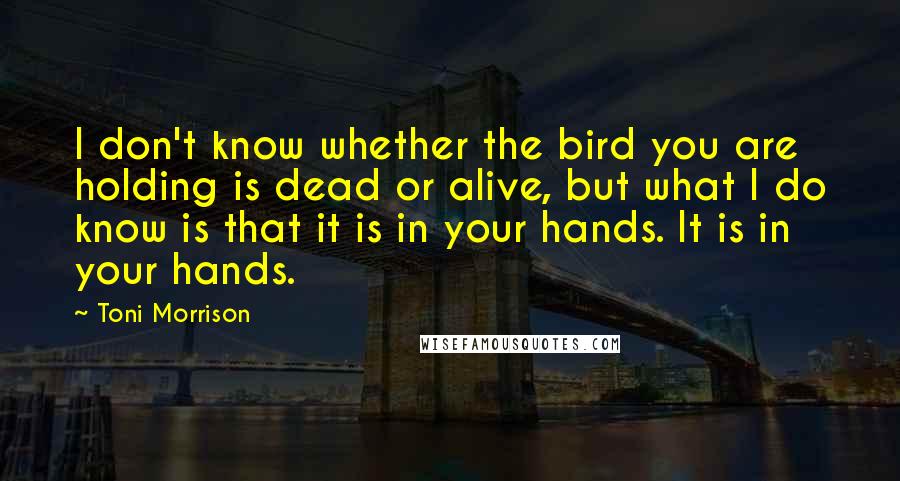 Toni Morrison Quotes: I don't know whether the bird you are holding is dead or alive, but what I do know is that it is in your hands. It is in your hands.