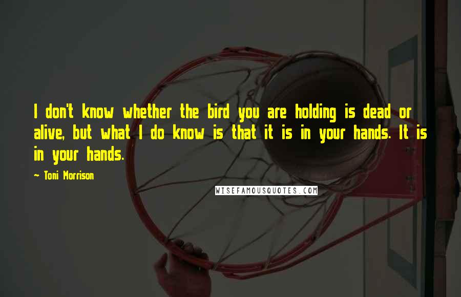 Toni Morrison Quotes: I don't know whether the bird you are holding is dead or alive, but what I do know is that it is in your hands. It is in your hands.