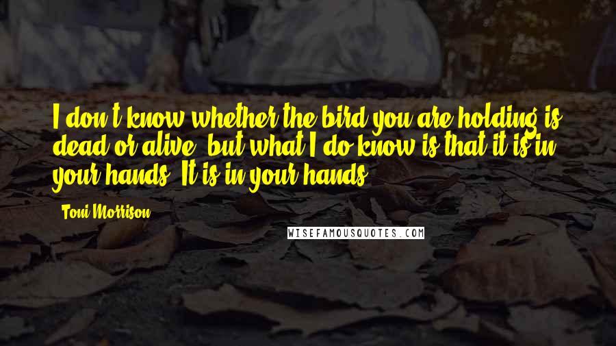 Toni Morrison Quotes: I don't know whether the bird you are holding is dead or alive, but what I do know is that it is in your hands. It is in your hands.