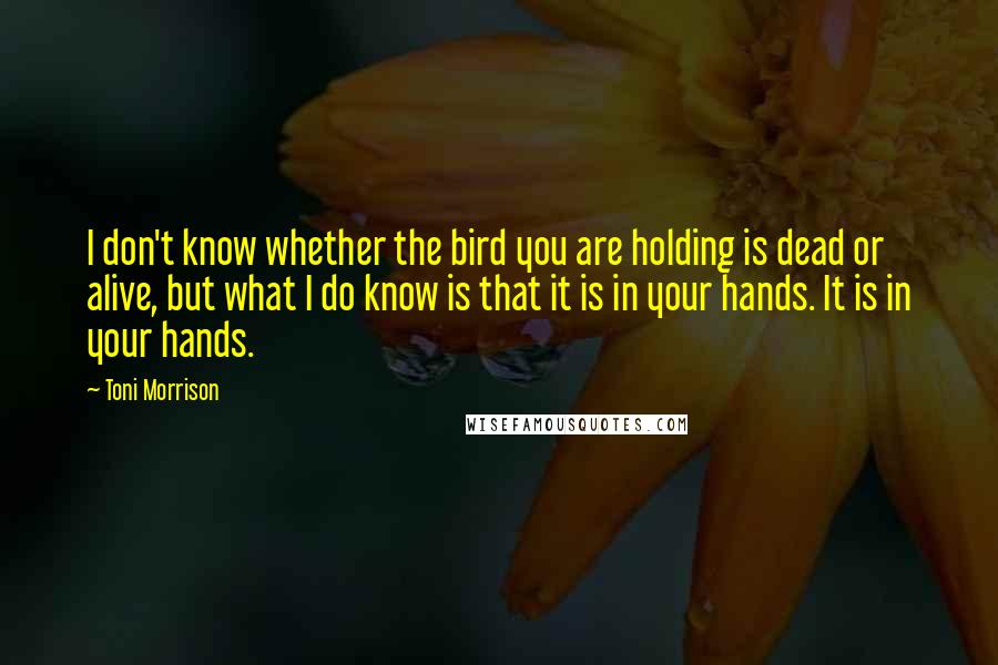 Toni Morrison Quotes: I don't know whether the bird you are holding is dead or alive, but what I do know is that it is in your hands. It is in your hands.