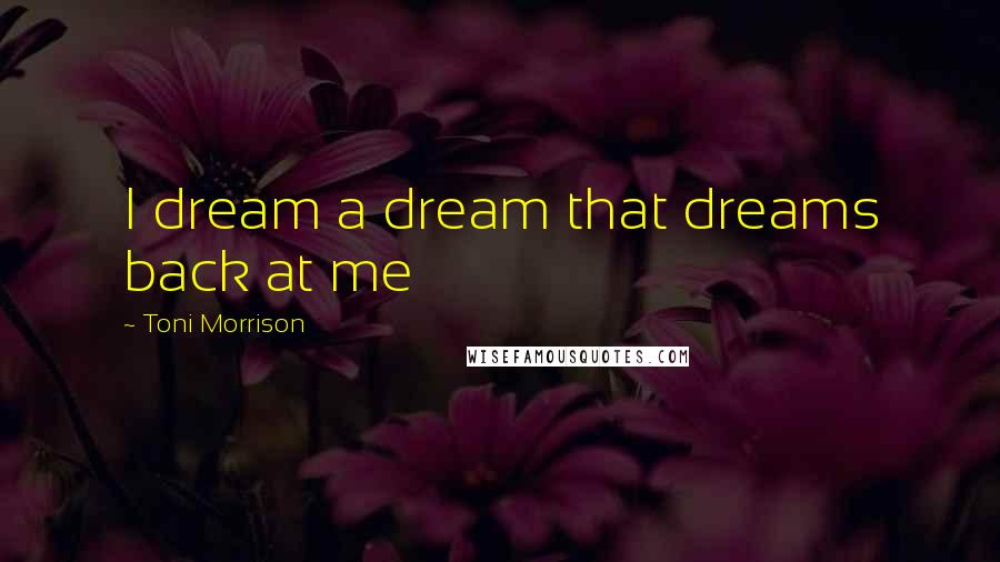 Toni Morrison Quotes: I dream a dream that dreams back at me