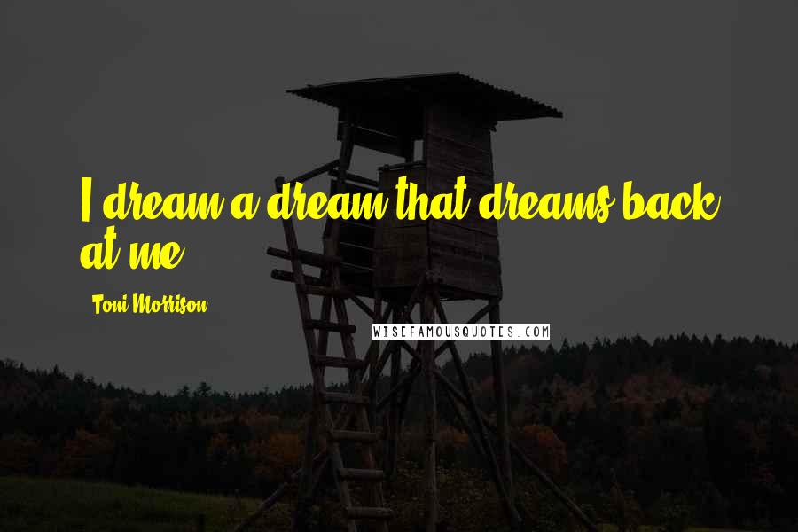 Toni Morrison Quotes: I dream a dream that dreams back at me