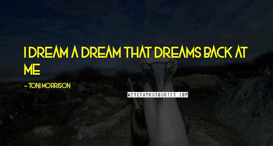 Toni Morrison Quotes: I dream a dream that dreams back at me