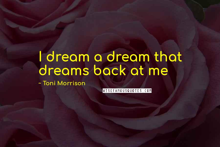Toni Morrison Quotes: I dream a dream that dreams back at me