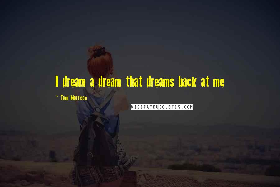 Toni Morrison Quotes: I dream a dream that dreams back at me