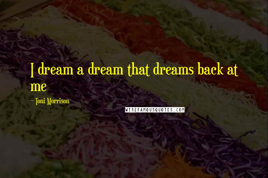 Toni Morrison Quotes: I dream a dream that dreams back at me