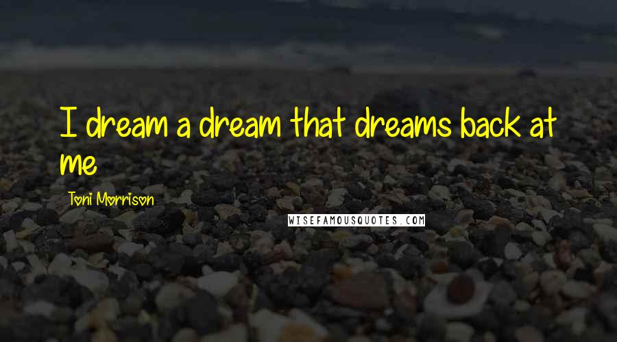 Toni Morrison Quotes: I dream a dream that dreams back at me