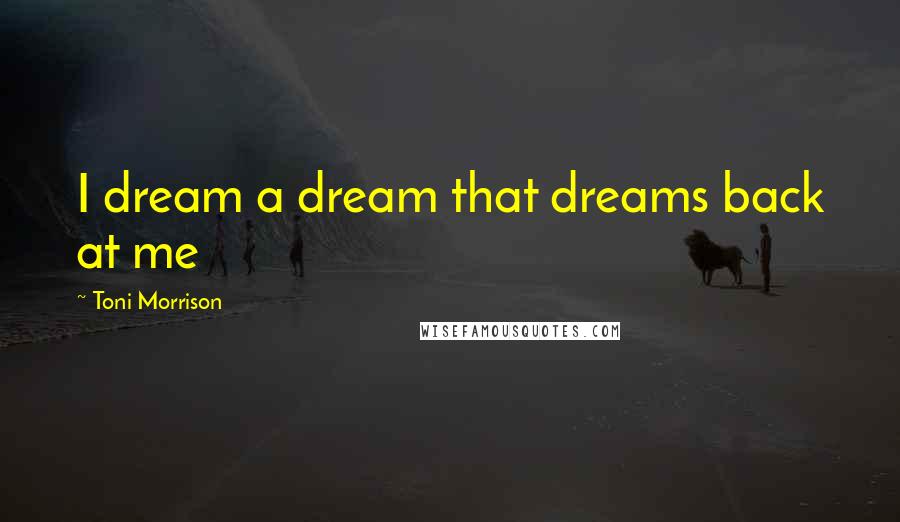 Toni Morrison Quotes: I dream a dream that dreams back at me
