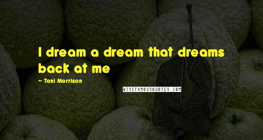 Toni Morrison Quotes: I dream a dream that dreams back at me