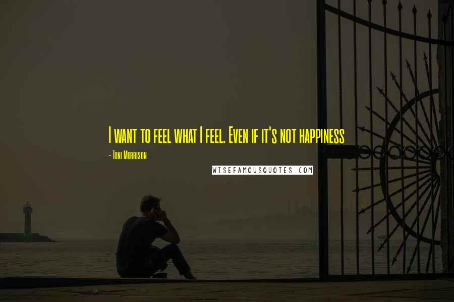 Toni Morrison Quotes: I want to feel what I feel. Even if it's not happiness