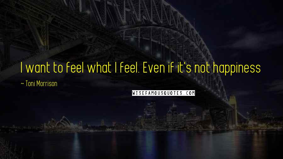 Toni Morrison Quotes: I want to feel what I feel. Even if it's not happiness