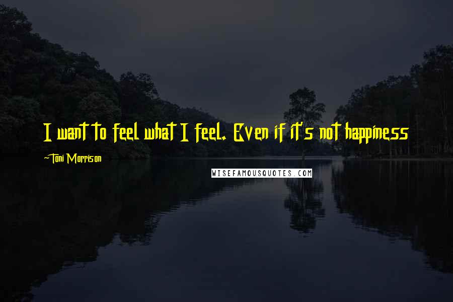 Toni Morrison Quotes: I want to feel what I feel. Even if it's not happiness