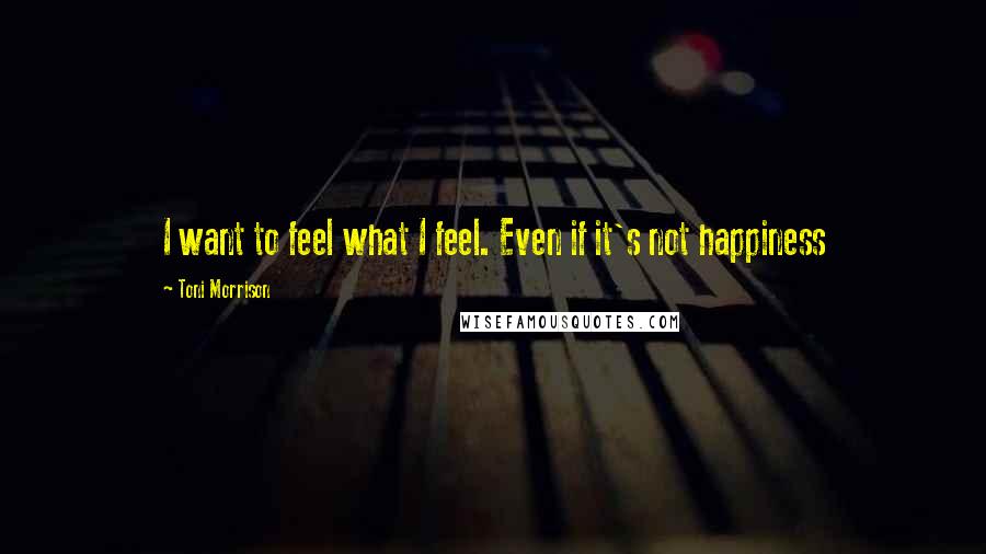 Toni Morrison Quotes: I want to feel what I feel. Even if it's not happiness