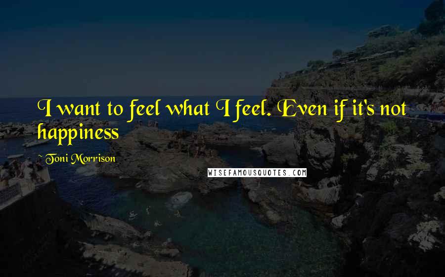 Toni Morrison Quotes: I want to feel what I feel. Even if it's not happiness