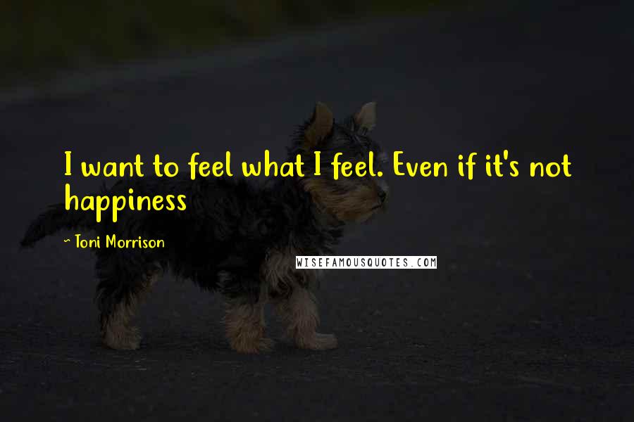 Toni Morrison Quotes: I want to feel what I feel. Even if it's not happiness