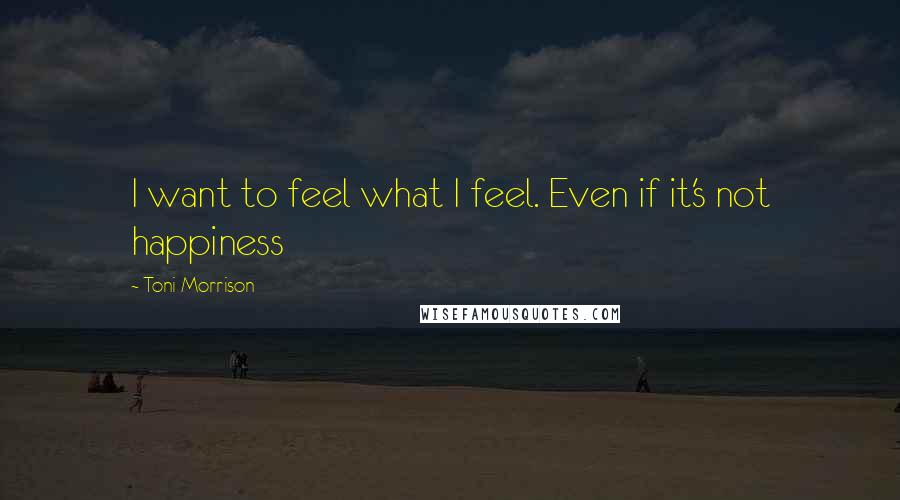 Toni Morrison Quotes: I want to feel what I feel. Even if it's not happiness