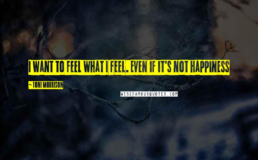 Toni Morrison Quotes: I want to feel what I feel. Even if it's not happiness