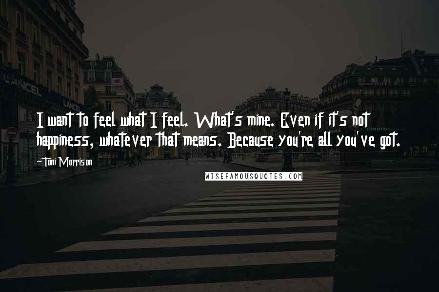 Toni Morrison Quotes: I want to feel what I feel. What's mine. Even if it's not happiness, whatever that means. Because you're all you've got.