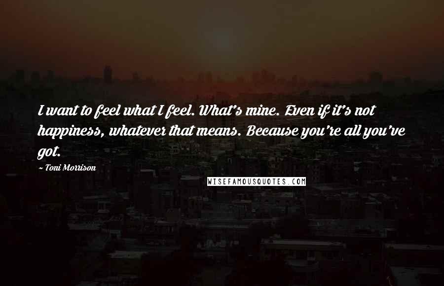 Toni Morrison Quotes: I want to feel what I feel. What's mine. Even if it's not happiness, whatever that means. Because you're all you've got.