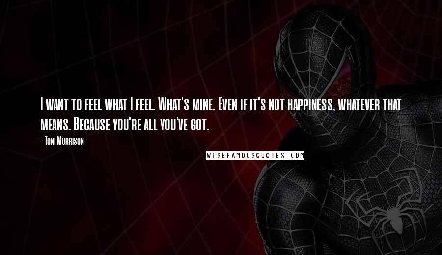 Toni Morrison Quotes: I want to feel what I feel. What's mine. Even if it's not happiness, whatever that means. Because you're all you've got.