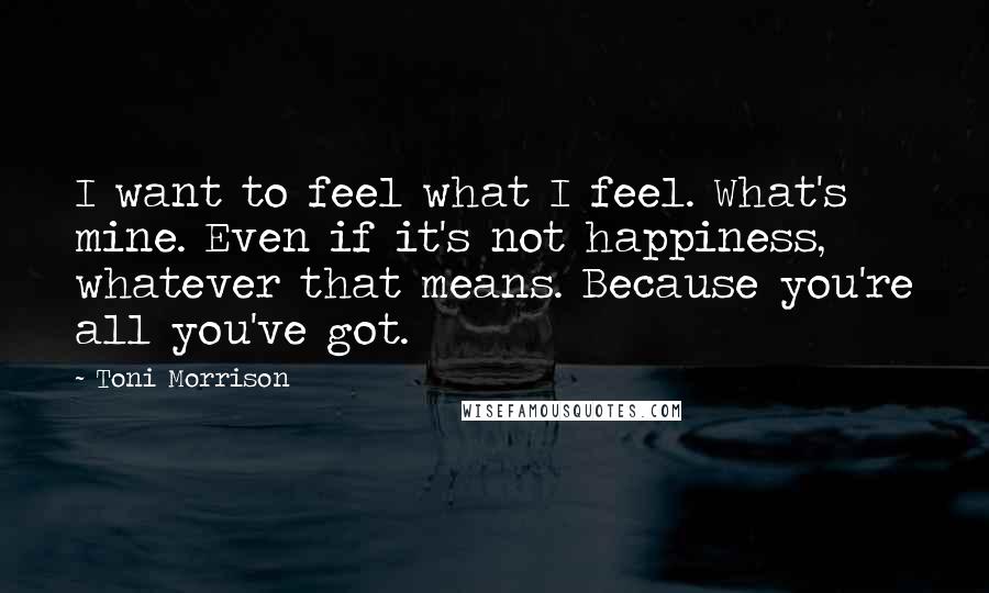 Toni Morrison Quotes: I want to feel what I feel. What's mine. Even if it's not happiness, whatever that means. Because you're all you've got.