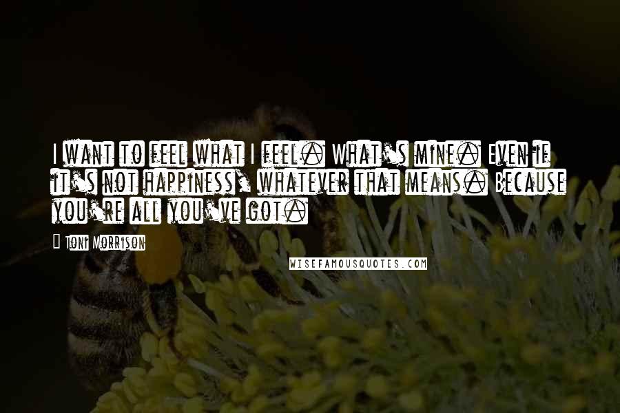 Toni Morrison Quotes: I want to feel what I feel. What's mine. Even if it's not happiness, whatever that means. Because you're all you've got.