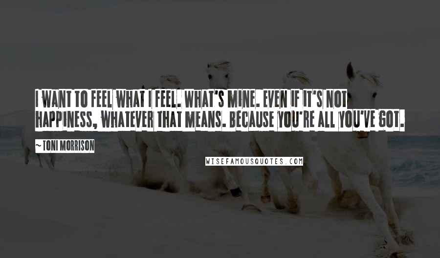 Toni Morrison Quotes: I want to feel what I feel. What's mine. Even if it's not happiness, whatever that means. Because you're all you've got.