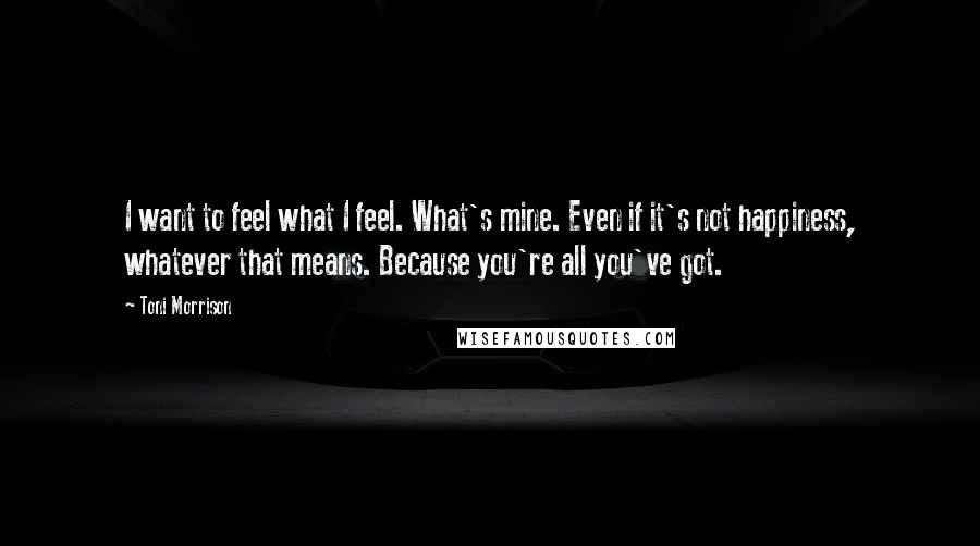 Toni Morrison Quotes: I want to feel what I feel. What's mine. Even if it's not happiness, whatever that means. Because you're all you've got.