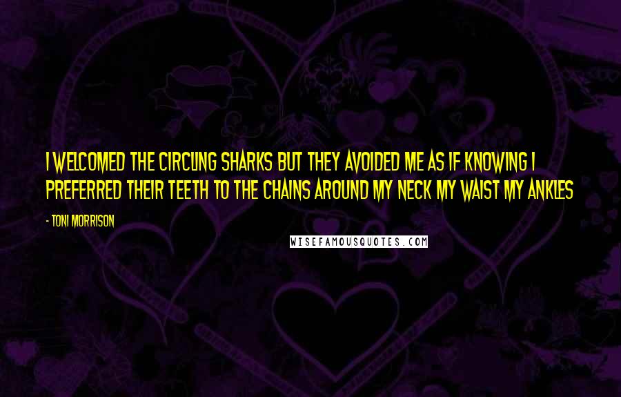 Toni Morrison Quotes: I welcomed the circling sharks but they avoided me as if knowing I preferred their teeth to the chains around my neck my waist my ankles