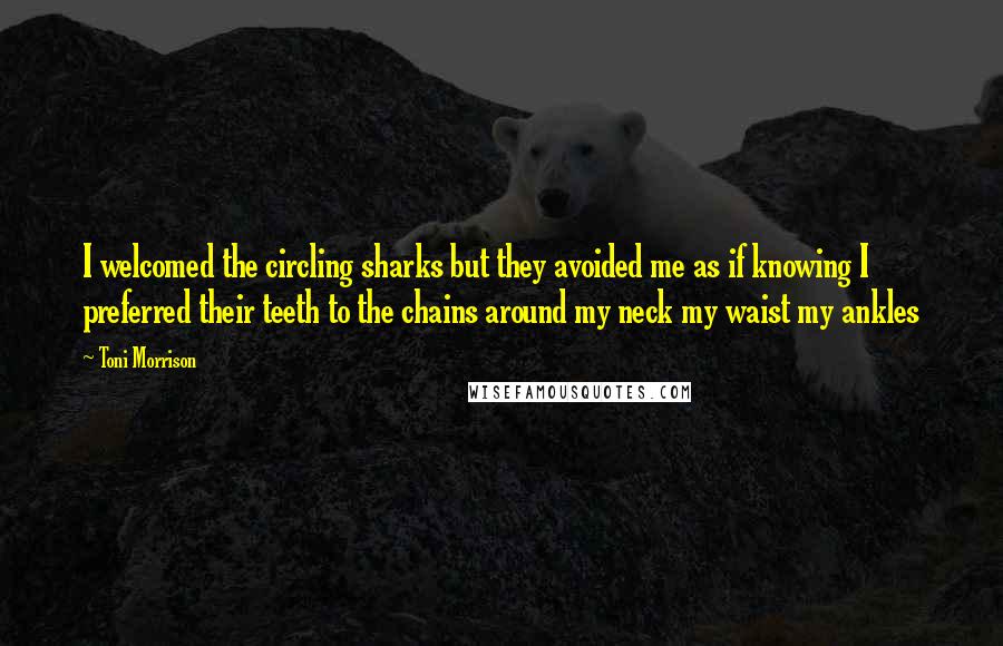 Toni Morrison Quotes: I welcomed the circling sharks but they avoided me as if knowing I preferred their teeth to the chains around my neck my waist my ankles