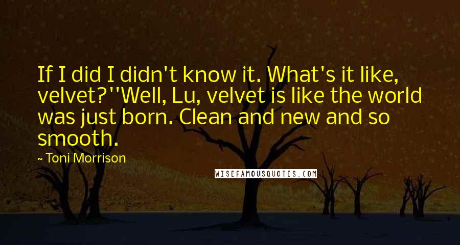 Toni Morrison Quotes: If I did I didn't know it. What's it like, velvet?''Well, Lu, velvet is like the world was just born. Clean and new and so smooth.