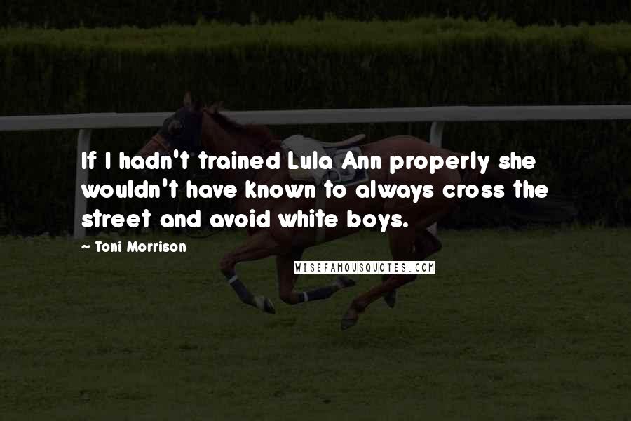 Toni Morrison Quotes: If I hadn't trained Lula Ann properly she wouldn't have known to always cross the street and avoid white boys.