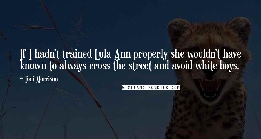 Toni Morrison Quotes: If I hadn't trained Lula Ann properly she wouldn't have known to always cross the street and avoid white boys.