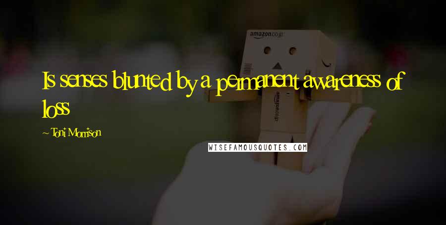 Toni Morrison Quotes: Is senses blunted by a permanent awareness of loss