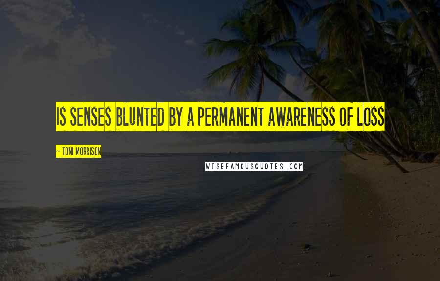 Toni Morrison Quotes: Is senses blunted by a permanent awareness of loss