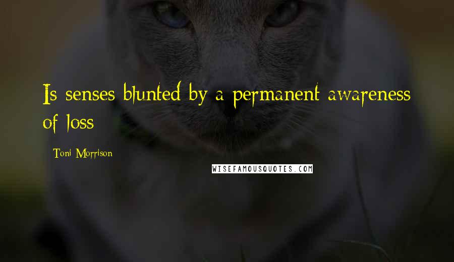 Toni Morrison Quotes: Is senses blunted by a permanent awareness of loss