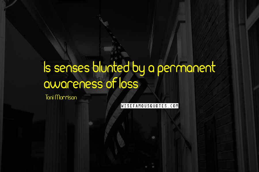 Toni Morrison Quotes: Is senses blunted by a permanent awareness of loss