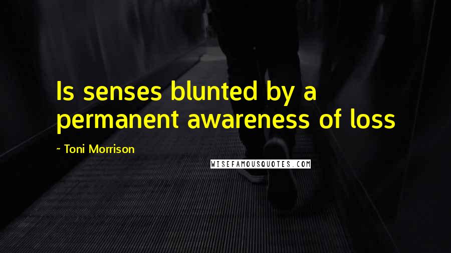 Toni Morrison Quotes: Is senses blunted by a permanent awareness of loss