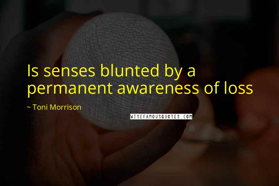 Toni Morrison Quotes: Is senses blunted by a permanent awareness of loss