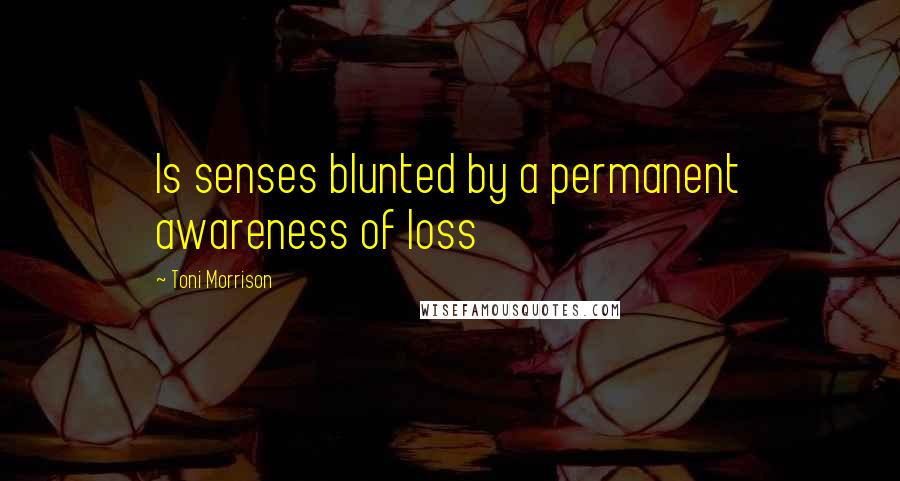 Toni Morrison Quotes: Is senses blunted by a permanent awareness of loss