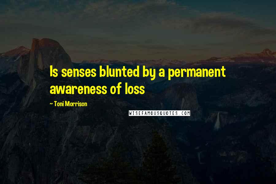 Toni Morrison Quotes: Is senses blunted by a permanent awareness of loss