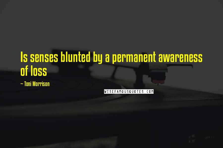 Toni Morrison Quotes: Is senses blunted by a permanent awareness of loss
