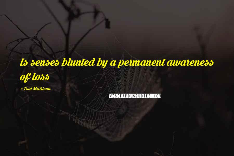 Toni Morrison Quotes: Is senses blunted by a permanent awareness of loss