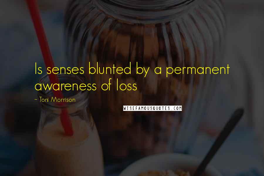 Toni Morrison Quotes: Is senses blunted by a permanent awareness of loss