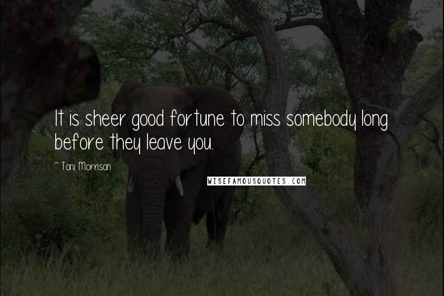 Toni Morrison Quotes: It is sheer good fortune to miss somebody long before they leave you.