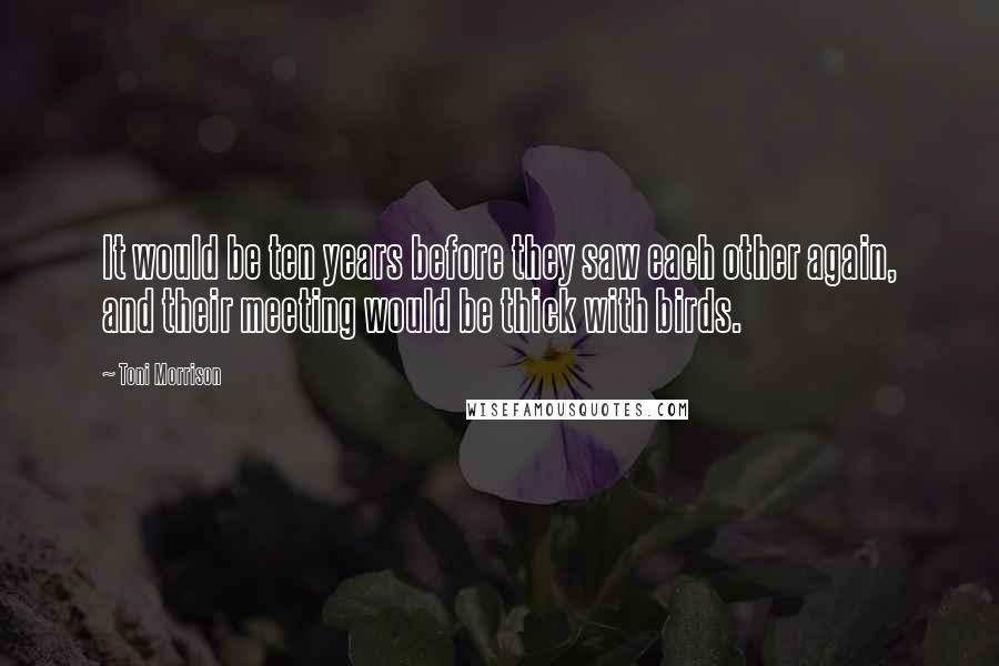 Toni Morrison Quotes: It would be ten years before they saw each other again, and their meeting would be thick with birds.